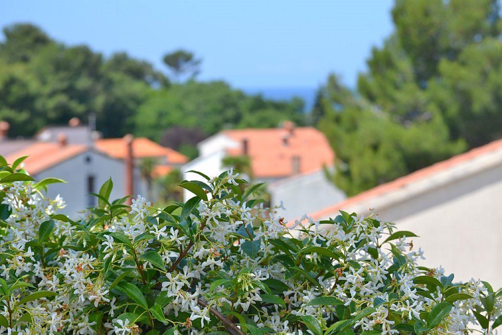 Apartments Zomzi Πόρετς Εξωτερικό φωτογραφία
